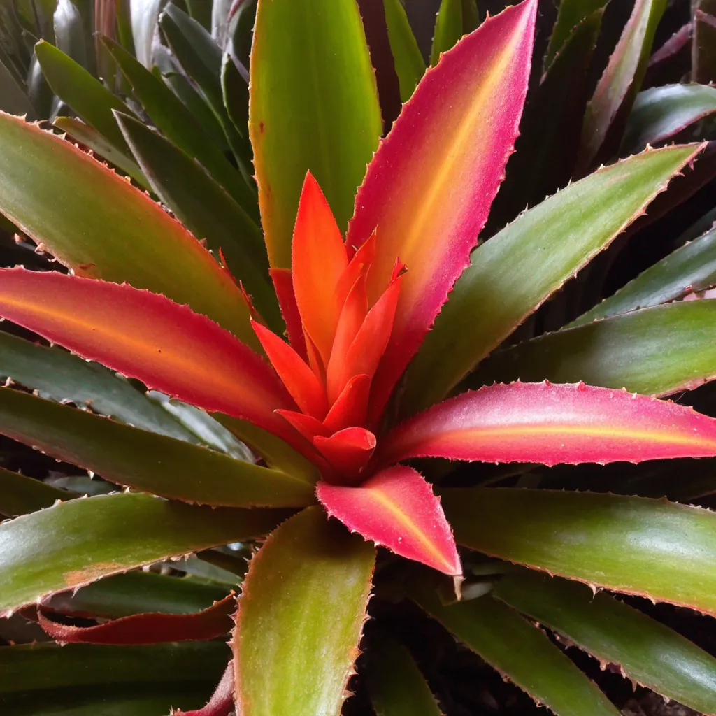 Detail view of the plant problem